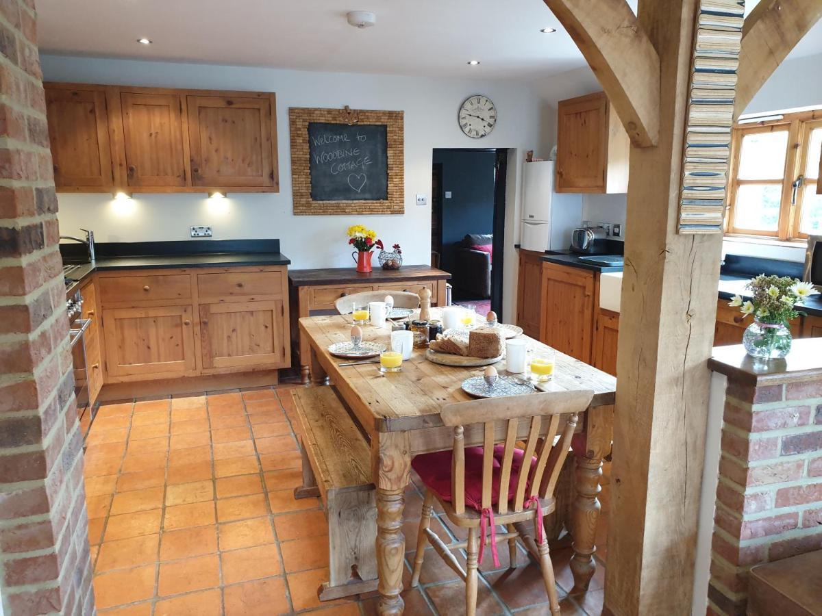 Upper Beeding Delightful Cottage On The River Adur Close To Brighton & The Downs No Dogs Sorry المظهر الخارجي الصورة
